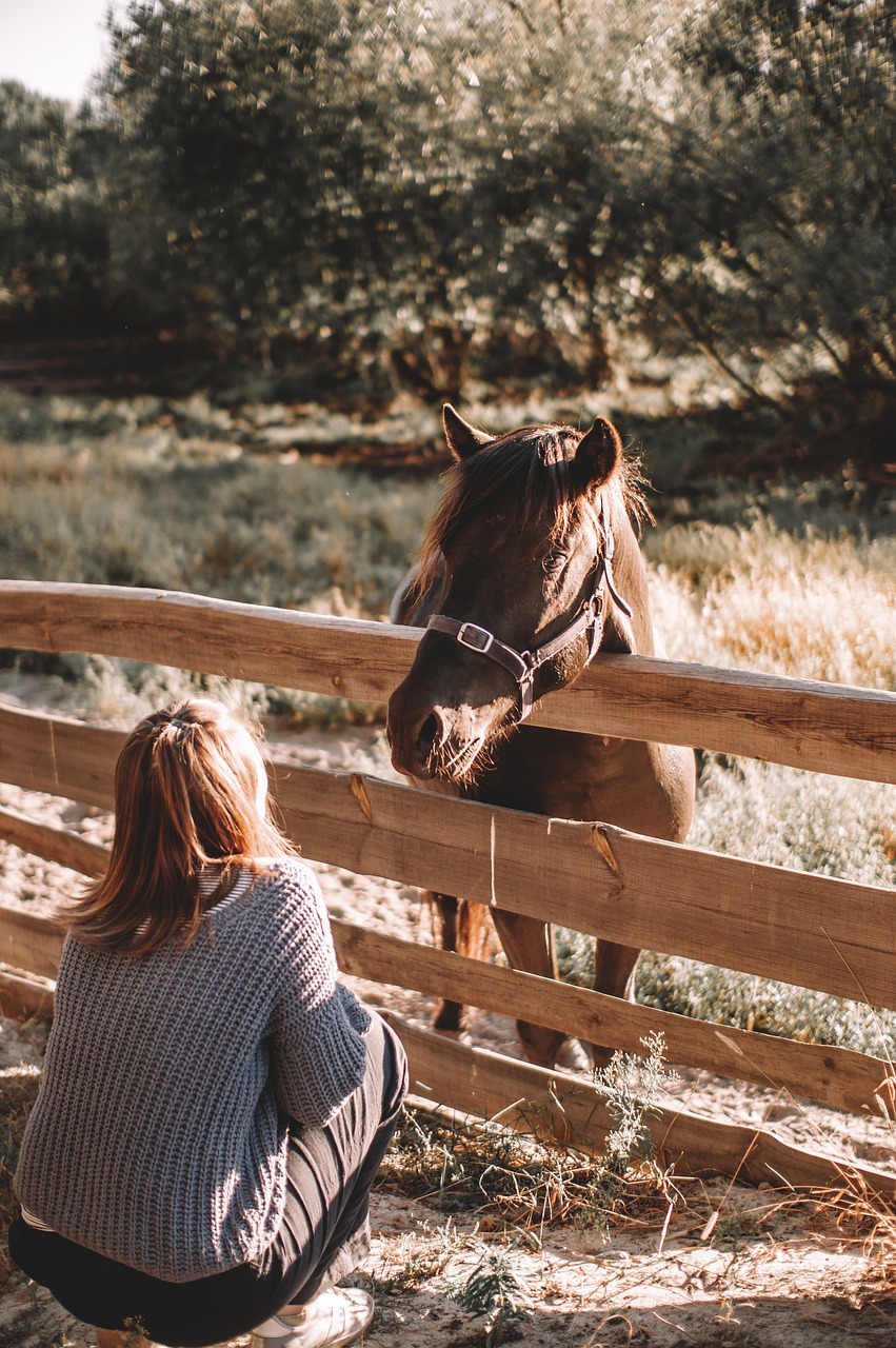horse, girl, ranch