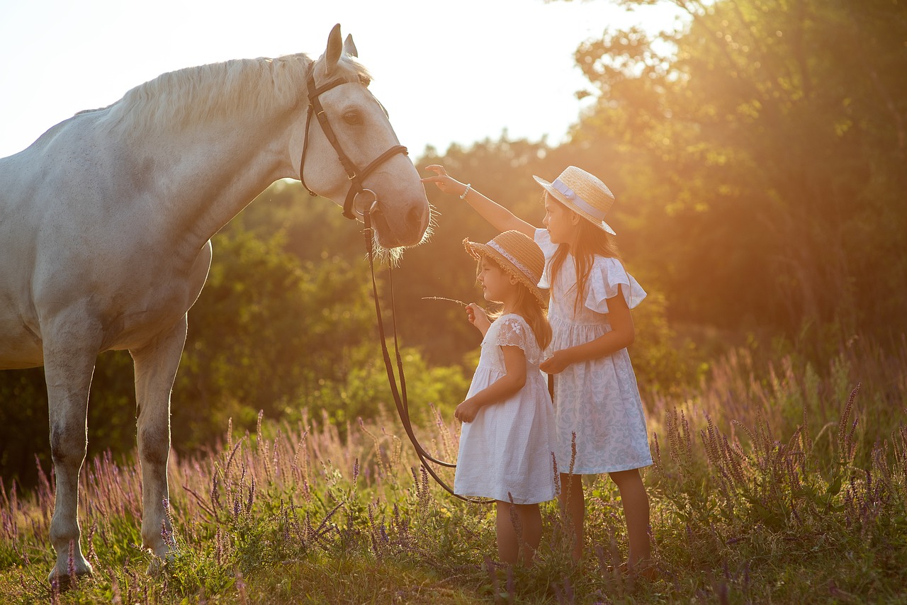 sisters, horse, children
